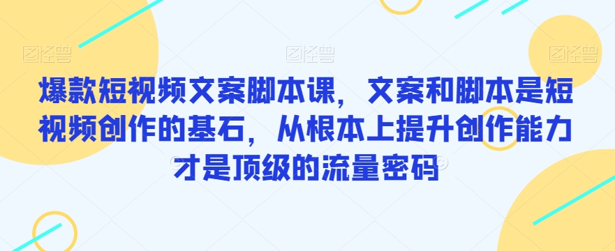 爆款短视频文案脚本课，文案和脚本是短视频创作的基石，从根本上提升创作能力才是顶级的流量密码-桐创网