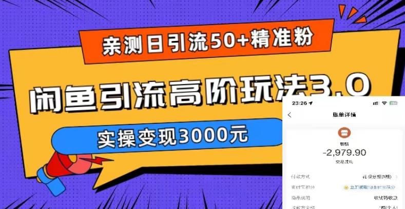 （5739期）实测日引50+精准粉，闲鱼引流高阶玩法3.0，实操变现3000元-桐创网