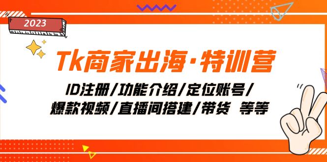 （7974期）Tk商家出海·特训营：ID注册/功能介绍/定位账号/爆款视频/直播间搭建/带货.-桐创网