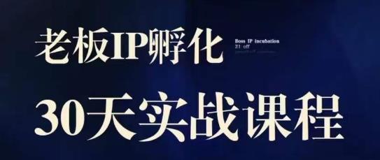 诸葛·2023老板IP实战课，实体同城引流获客，IP孵化必听-桐创网