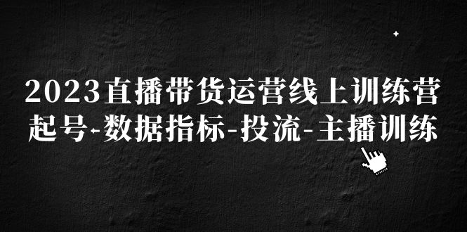 （5122期）2023直播带货运营线上训练营，起号-数据指标-投流-主播训练-桐创网