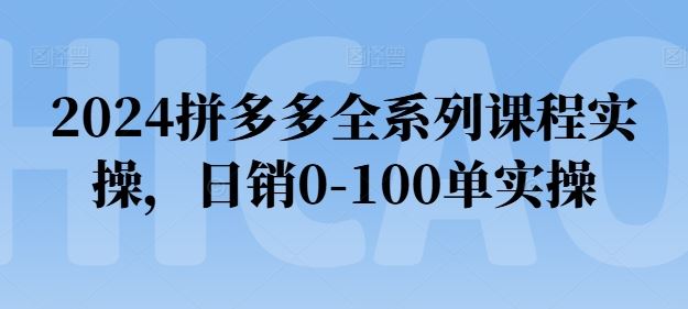 2024拼多多全系列课程实操，日销0-100单实操【必看】-桐创网