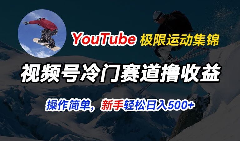 视频号冷门赛道撸收益，YouTube搬运极限运动集锦，暴力起号，操作简单流量高，轻松日入5张【揭秘】-桐创网