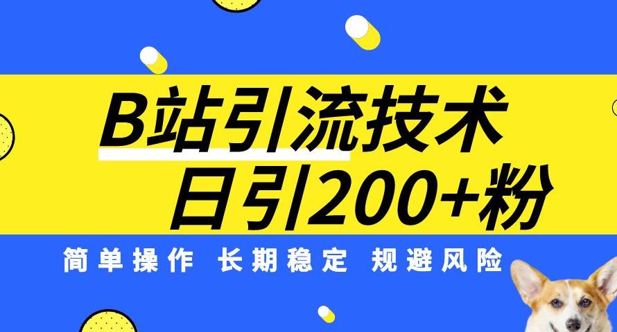 B站引流技术：每天引流200精准粉，简单操作，长期稳定，规避风险-桐创网