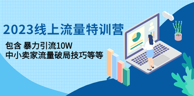 （4567期）2023线上流量特训营：包含暴力引流10W+中小卖家流量破局技巧等等-桐创网