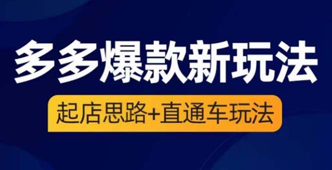 （6028期）2023拼多多爆款·新玩法：起店思路+直通车玩法（3节精华课）-桐创网