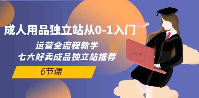 成人用品独立站从0-1入门，运营全流程教学，七大好卖成品独立站推荐（6节课）-桐创网