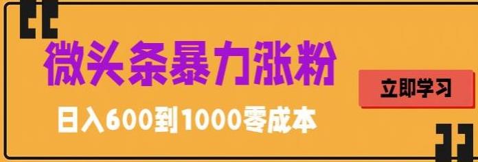 微头条暴力涨粉技巧搬运文案就能涨几万粉丝，简单0成本，日赚600【揭秘】-桐创网