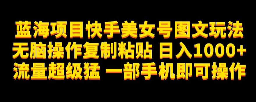 蓝海项目快手美女号图文玩法，无脑操作复制粘贴，日入1000+流量超级猛一部手机即可操作【揭秘】-桐创网