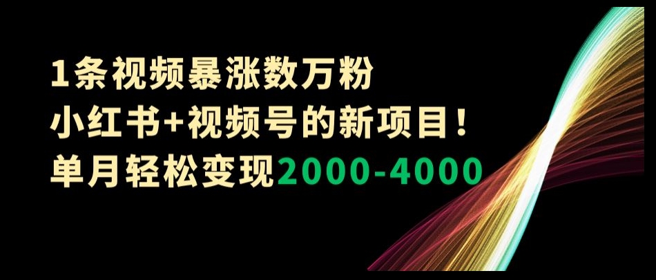 1条视频暴涨数万粉–小红书+视频号的新项目！单月轻松变现2000-4000【揭秘】-桐创网