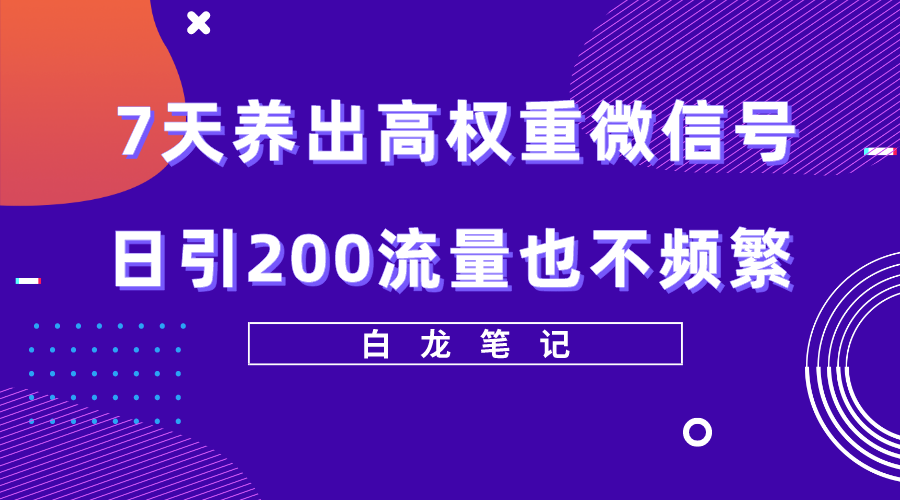 （5630期）7天养出高权重微信号，日引200流量也不频繁，方法价值3680元-桐创网