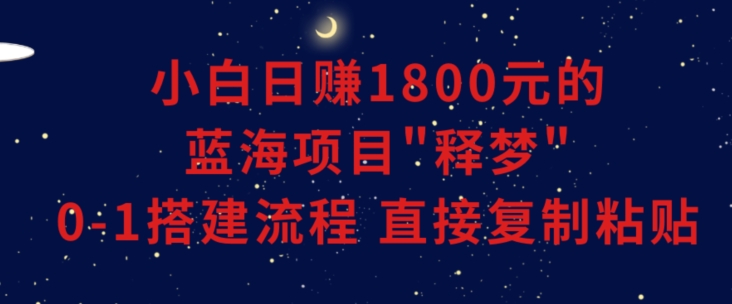 小白能日赚1800元的蓝海项目”释梦”0-1搭建流程可直接复制粘贴长期做-桐创网