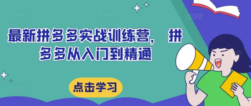 最新拼多多实战训练营， 拼多多从入门到精通-桐创网