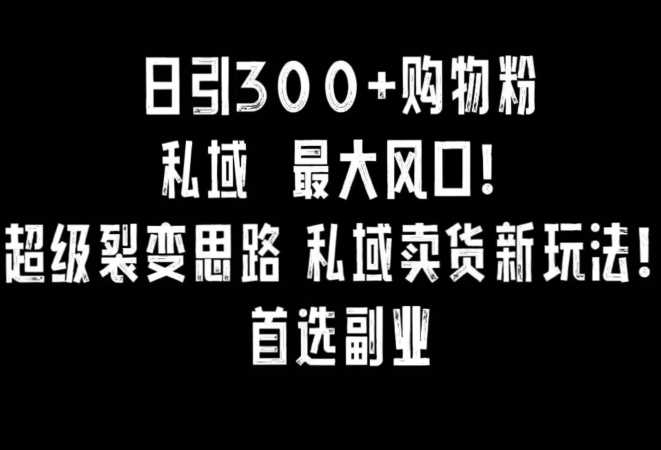 日引300+购物粉，超级裂变思路，私域卖货新玩法，小红书首选副业【揭秘】-桐创网