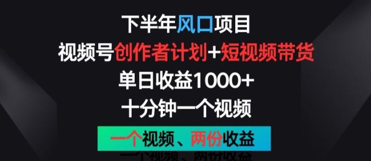 下半年风口项目，视频号创作者计划+视频带货，一个视频两份收益，十分钟一个视频【揭秘】-桐创网