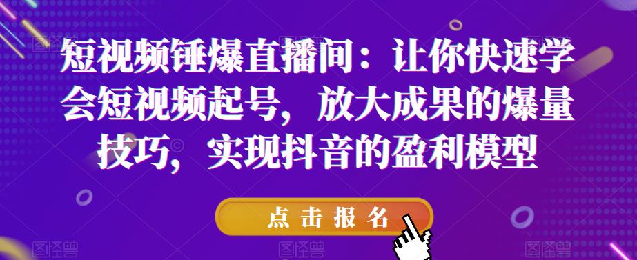 短视频锤爆直播间：让你快速学会短视频起号，放大成果的爆量技巧，实现抖音的盈利模型-桐创网