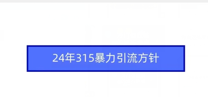 24年315暴力引流方针-桐创网