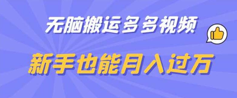 无脑搬运多多视频，新手也能月入过万【揭秘】-桐创网