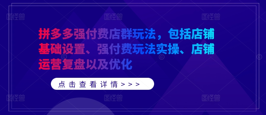 拼多多强付费店群玩法，包括店铺基础设置、强付费玩法实操、店铺运营复盘以及优化-桐创网