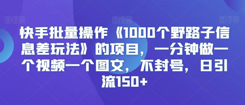 快手批量操作《1000个野路子信息差玩法》的项目，一分钟做一个视频一个图文，不封号，日引流150+【揭秘】-桐创网