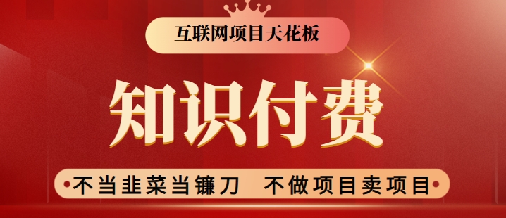 2024互联网项目天花板，新手小白也可以通过知识付费月入10W，实现财富自由-桐创网