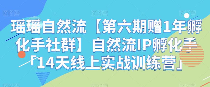 瑶瑶自然流【第六期赠1年孵化手社群】自然流IP孵化手「14天线上实战训练营」-桐创网