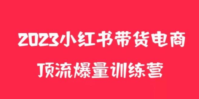 小红书电商爆量训练营，养生花茶实战篇，月入3W+-桐创网