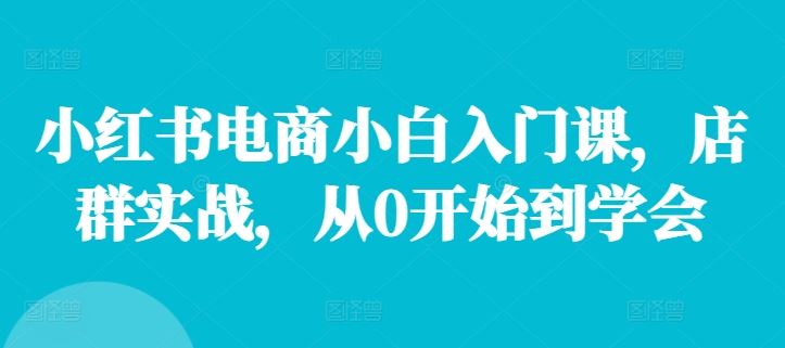 小红书电商小白入门课，店群实战，从0开始到学会-桐创网