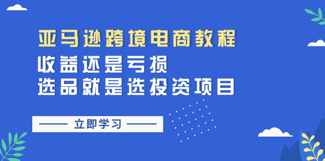 （11432期）亚马逊跨境电商教程：收益还是亏损！选品就是选投资项目-桐创网