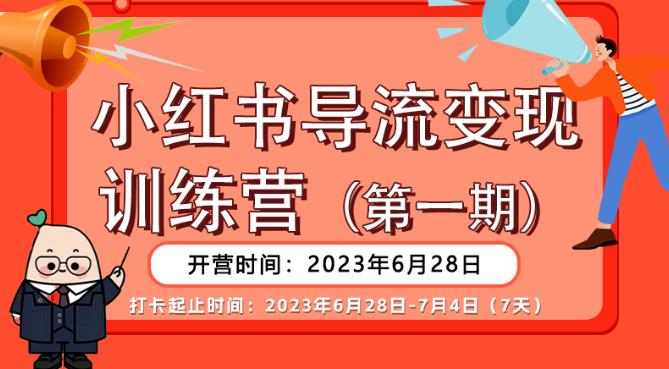 【推荐】小红书导流变现营，公域导私域，适用多数平台，一线实操实战团队总结，真正实战，全是细节！-桐创网