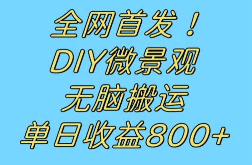 全网首发冷门赛道！DIY微景观，无脑搬运视频，日收益800+【揭秘】-桐创网