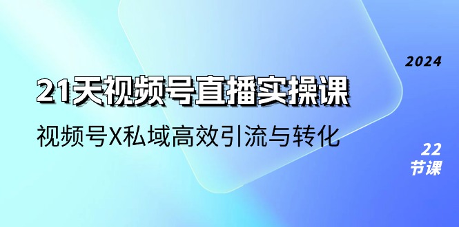 21天视频号直播实操课，视频号X私域高效引流与转化（22节课）-桐创网