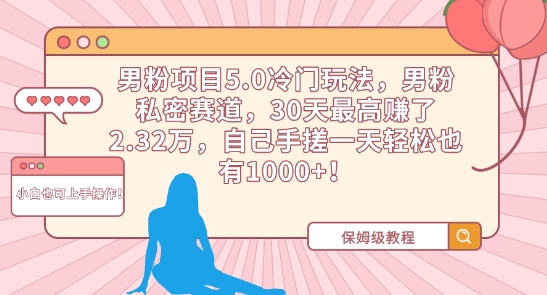 男粉项目5.0冷门玩法，男粉私密赛道，30天最高赚了2.32万，自己手搓一天轻松也有1000+-桐创网