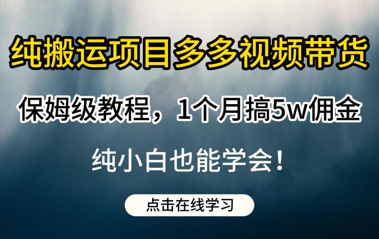 纯搬运项目多多视频带货保姆级教程，1个月搞5w佣金，纯小白也能学会【揭秘】-桐创网