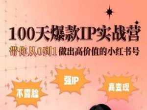 小红书100天爆款IP实战营，带你从0到1做出高价值的小红书号-桐创网