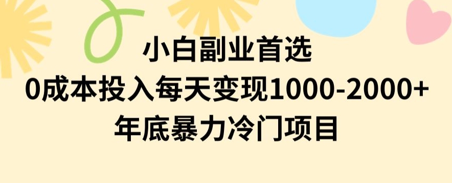 小白副业首选，0成本投入，每天变现1000-2000年底暴力冷门项目【揭秘】-桐创网