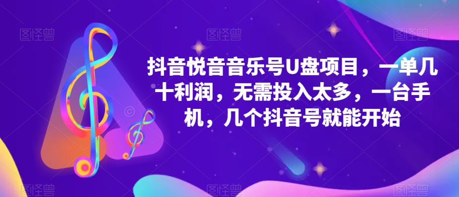 （5393期）抖音音乐号U盘项目 一单几十利润 无需投入太多 一台手机 几个抖音号就开始-桐创网