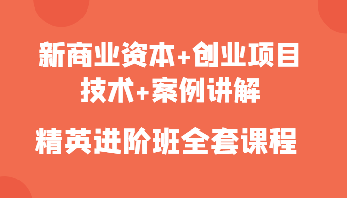 新商业资本+创业项目，技术+案例讲解，精英进阶班全套课程-桐创网