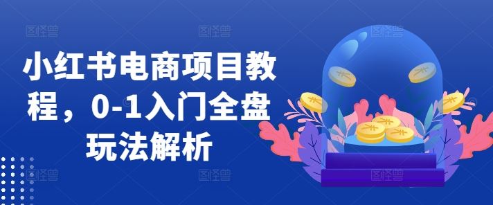 小红书电商项目教程，0-1入门全盘玩法解析-桐创网