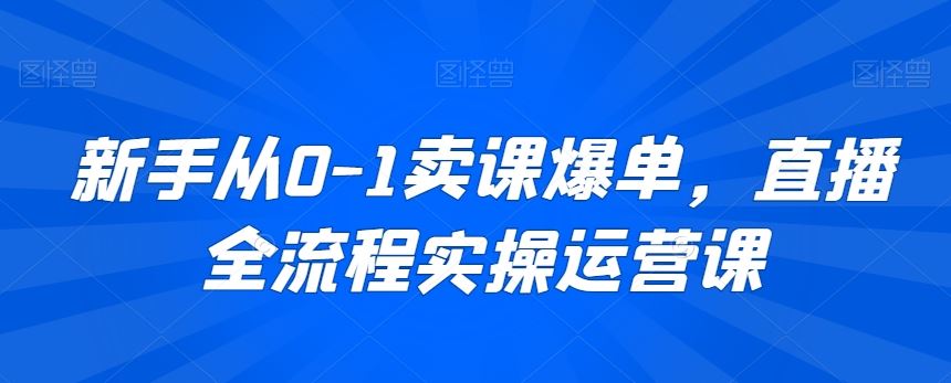 新手从0-1卖课爆单，直播全流程实操运营课-桐创网