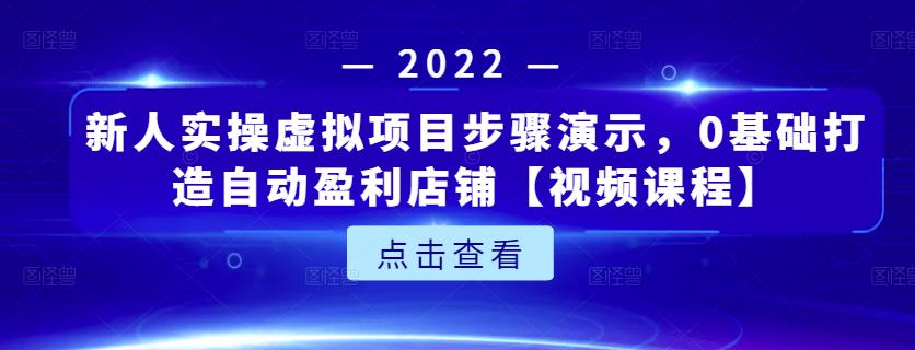 新人实操虚拟项目步骤演示，0基础打造自动盈利店铺【视频课程】-桐创网