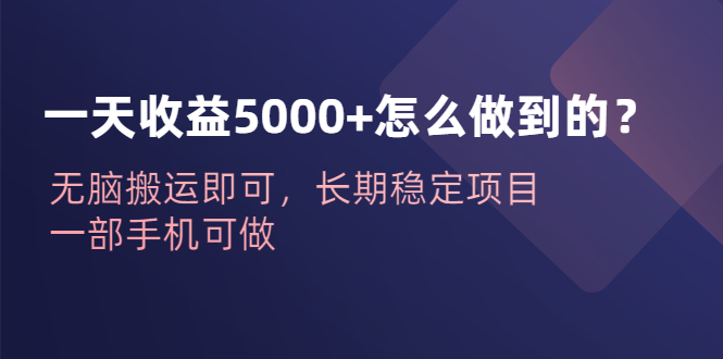 （6435期）一天收益5000+怎么做到的？无脑搬运即可，长期稳定项目，一部手机可做-桐创网