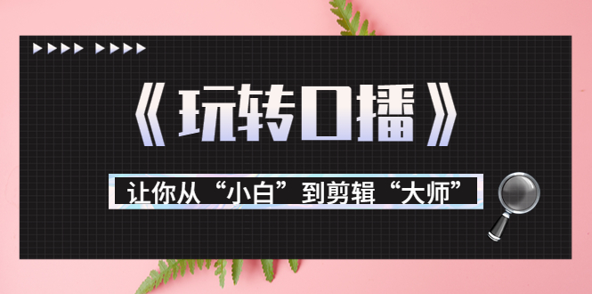 月营业额700万+大佬教您《玩转口播》让你从“小白”到剪辑“大师”-桐创网