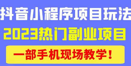 抖音小程序9.0新技巧，2023热门副业项目，动动手指轻松变现-桐创网