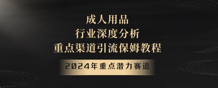 2024年重点潜力赛道，成人用品行业深度分析，重点渠道引流保姆教程【揭秘】-桐创网