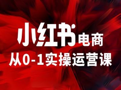 小红书电商从0-1实操运营课，让你从小白到精英-桐创网