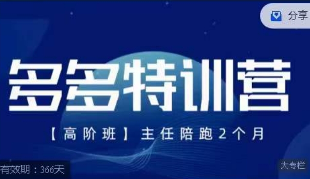 纪主任·多多特训营高阶班【9月13日更新】，拼多多最新玩法技巧落地实操-桐创网