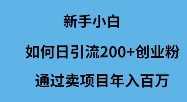 （9668期）新手小白如何日引流200+创业粉通过卖项目年入百万-桐创网