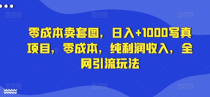 零成本卖套图，日入+1000写真项目，零成本，纯利润收入，全网引流玩法-桐创网