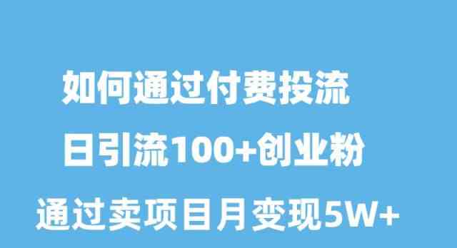 （10189期）如何通过付费投流日引流100+创业粉月变现5W+-桐创网